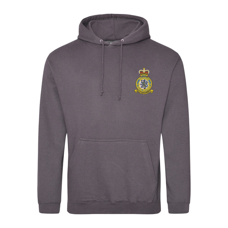 No 54 Squadron RAF Hoodie