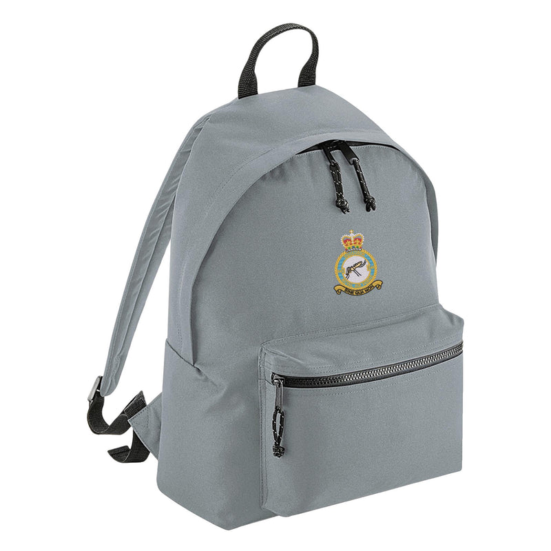No 540 Squadron RAF Backpack
