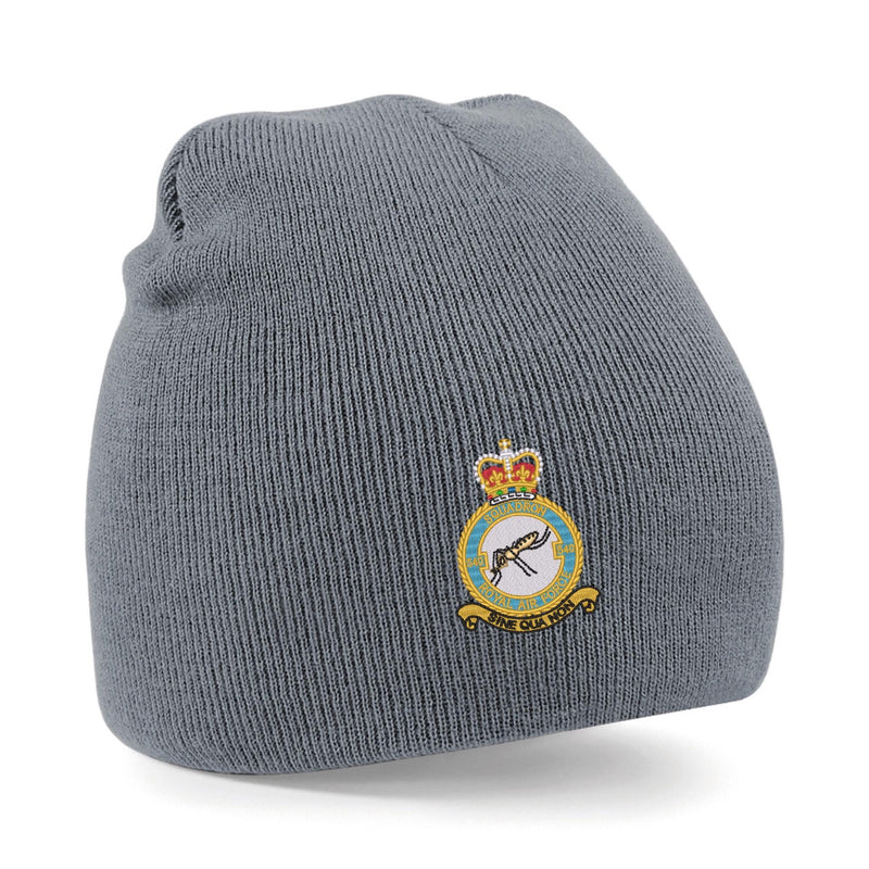 No 540 Squadron RAF Beanie Hat