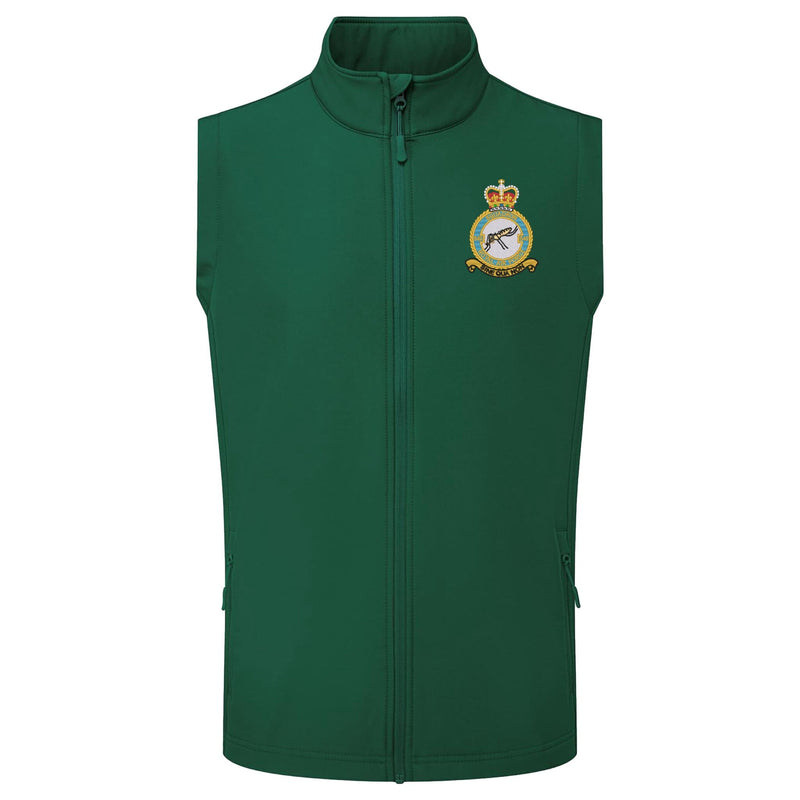 No 540 Squadron RAF Gilet