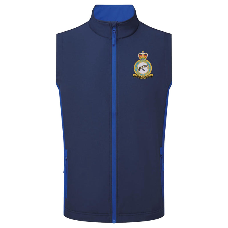 No 540 Squadron RAF Gilet