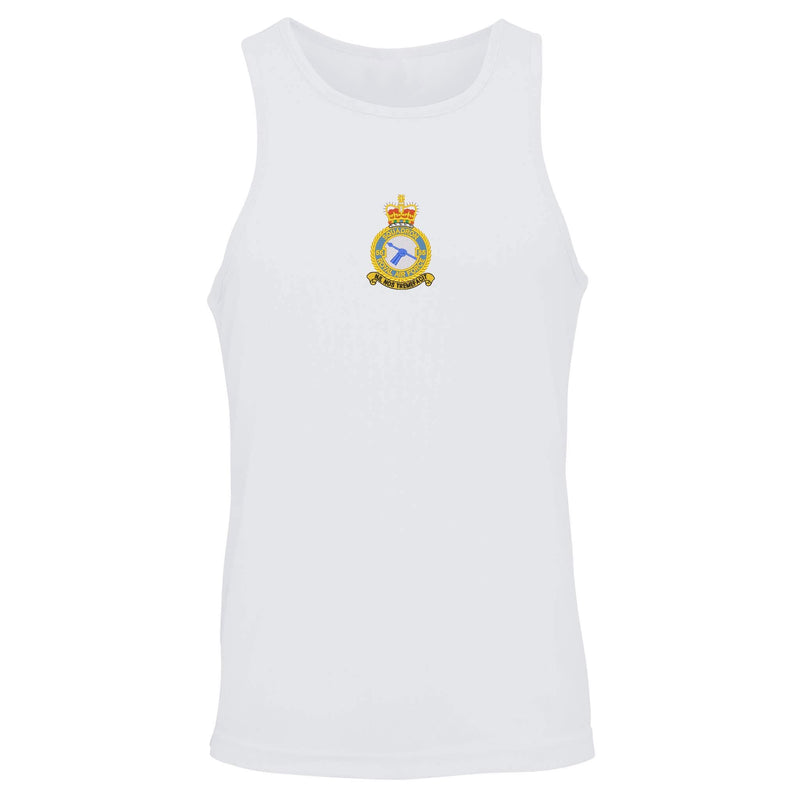 No 55 Squadron RAF Vest