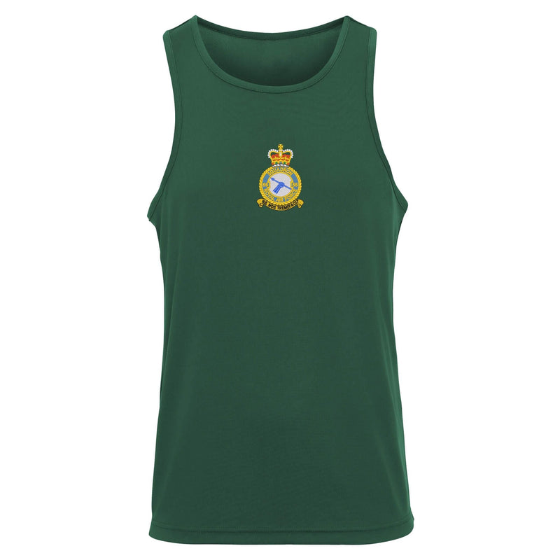 No 55 Squadron RAF Vest