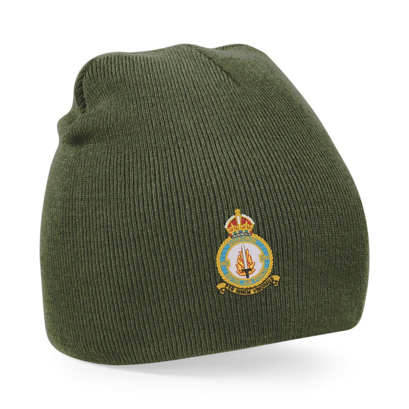 No 550 Squadron RAF Beanie Hat