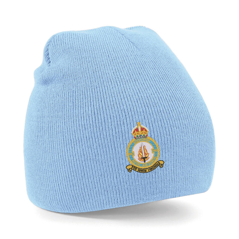 No 550 Squadron RAF Beanie Hat