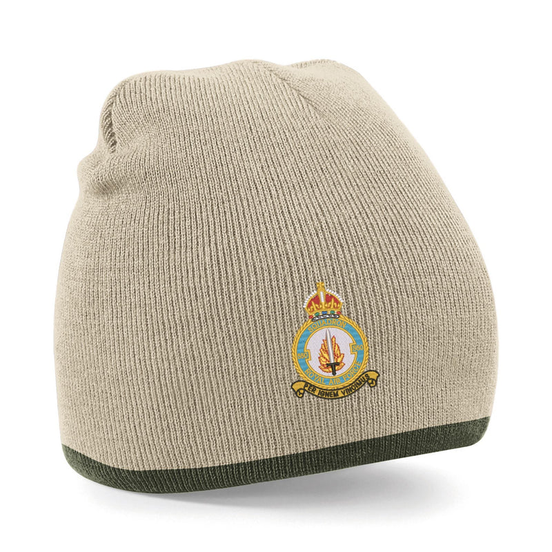 No 550 Squadron RAF Beanie Hat