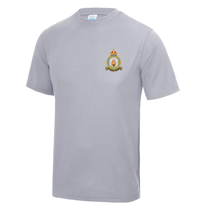 No 550 Squadron RAF Polyester T-Shirt
