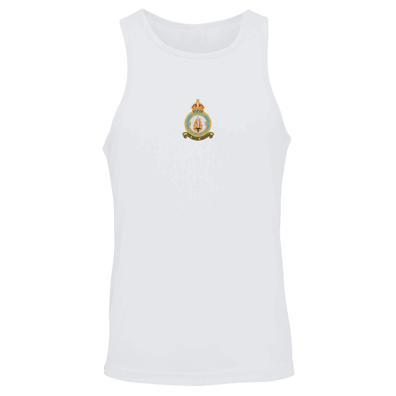 No 550 Squadron RAF Vest
