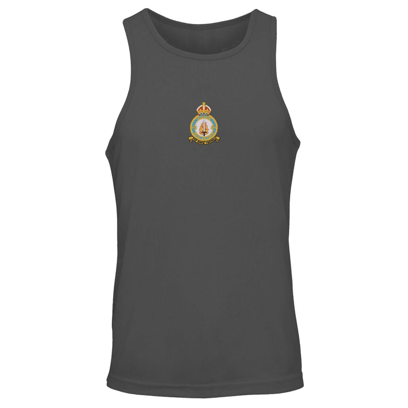 No 550 Squadron RAF Vest