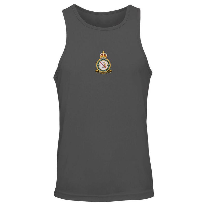 No 600 Squadron RAF Vest