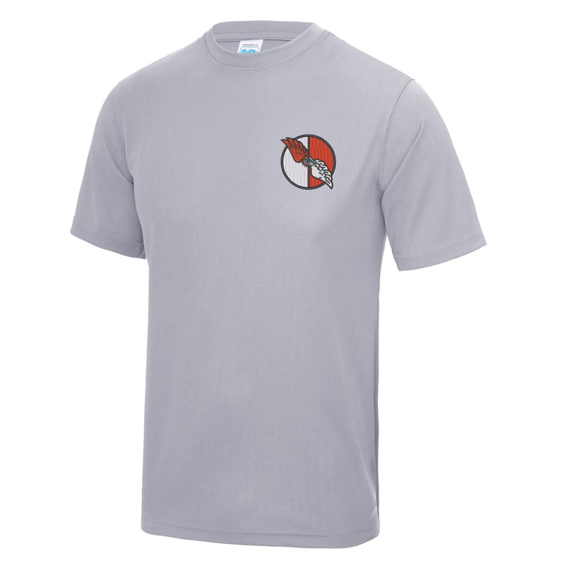 No. 7010 Squadron RAF Polyester T-Shirt