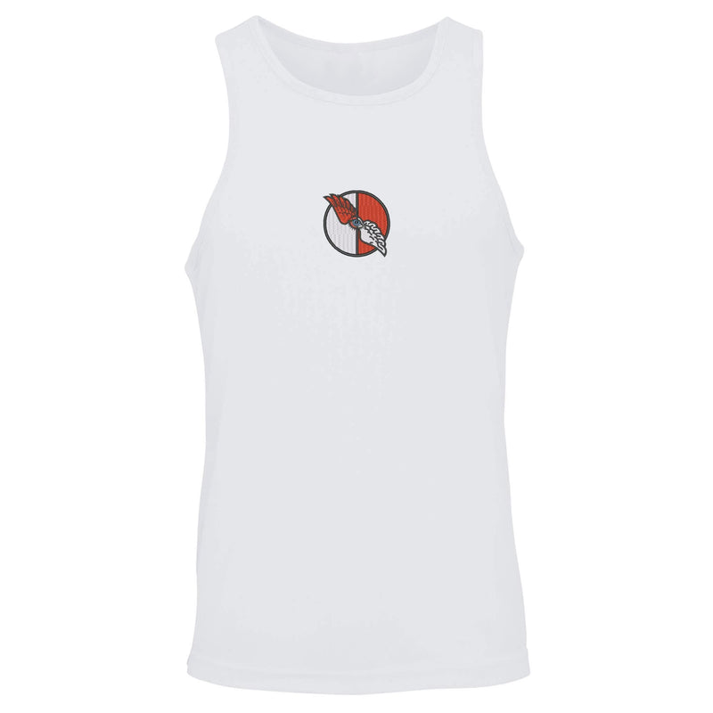 No. 7010 Squadron RAF Vest