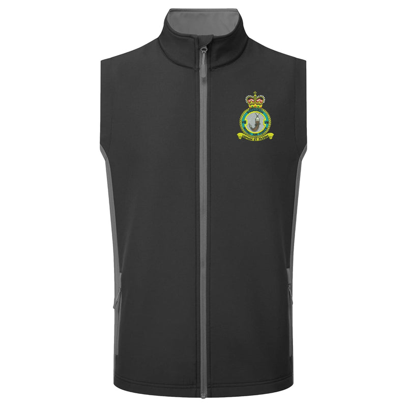 No 8 Squadron RAF Gilet