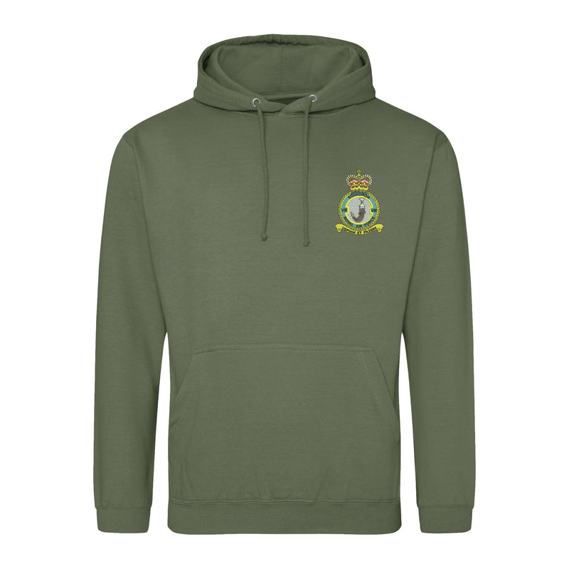 No 8 Squadron RAF Regiment Hoodie