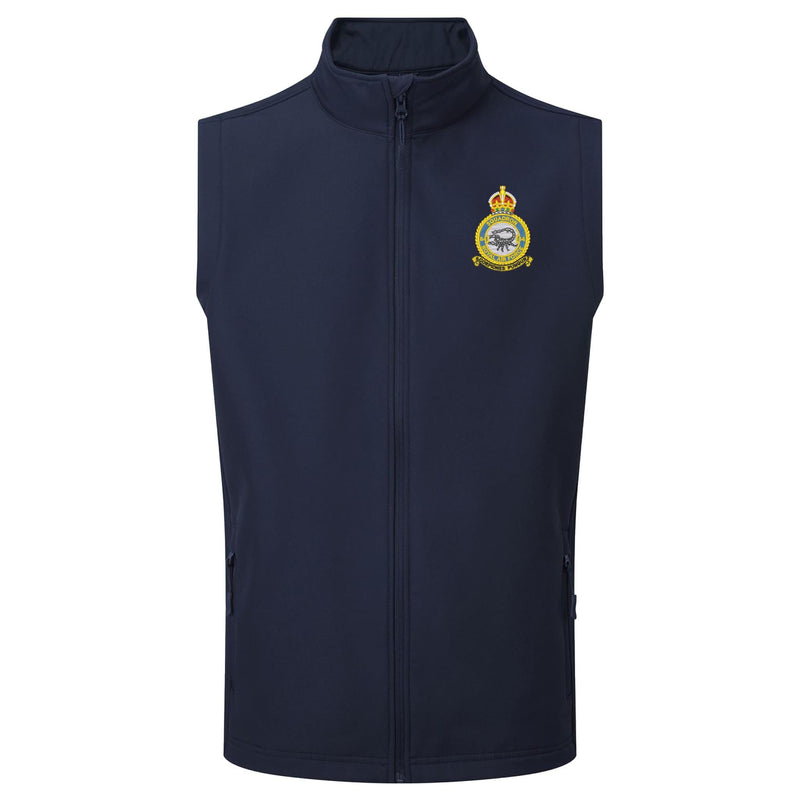 No 84 Squadron RAF Gilet