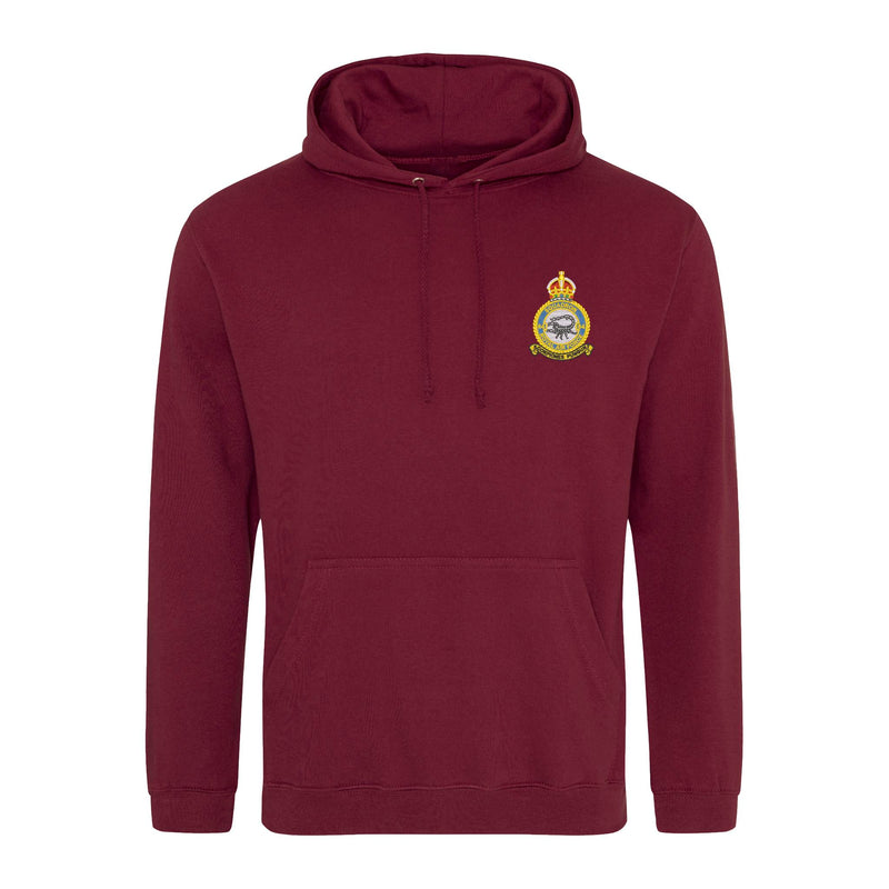 No 84 Squadron RAF Hoodie