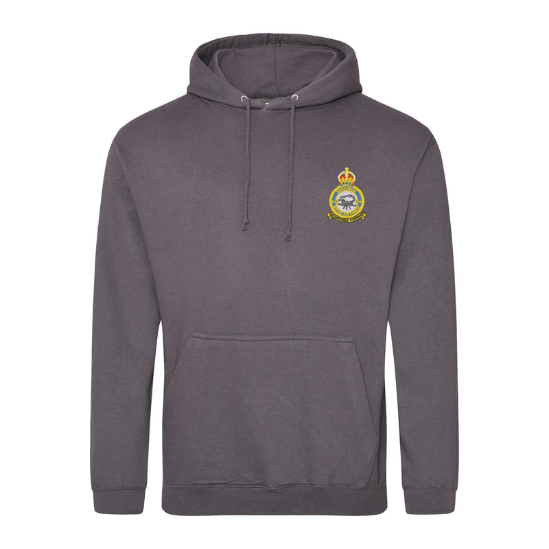 No 84 Squadron RAF Hoodie