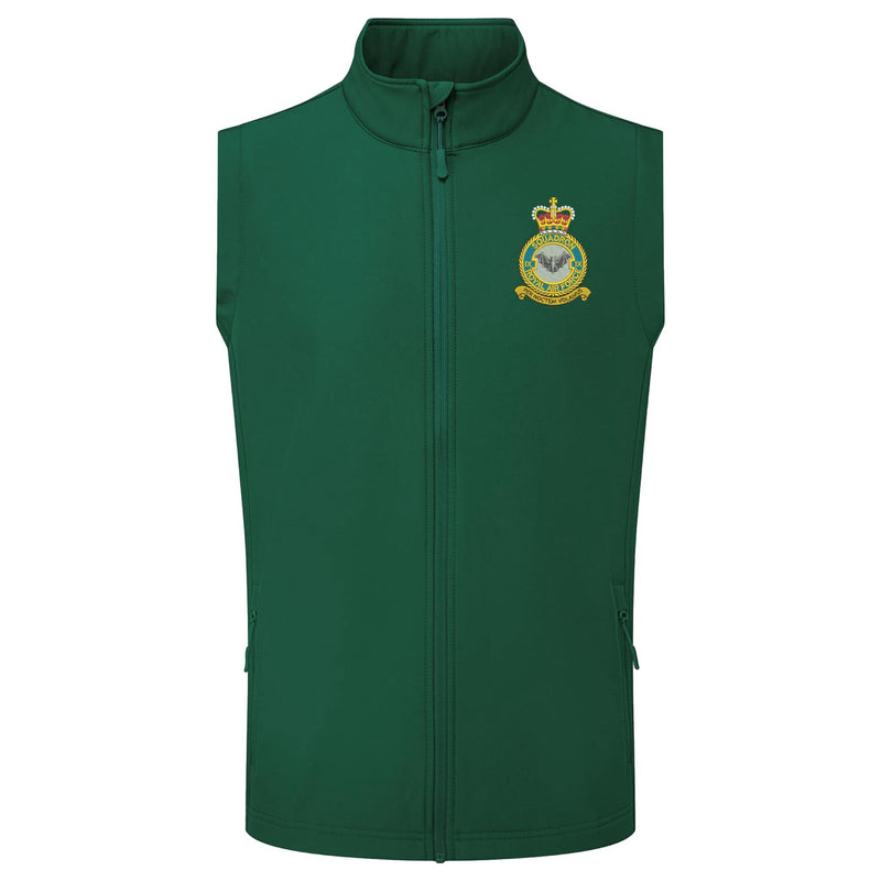 No 9 Squadron RAF Gilet