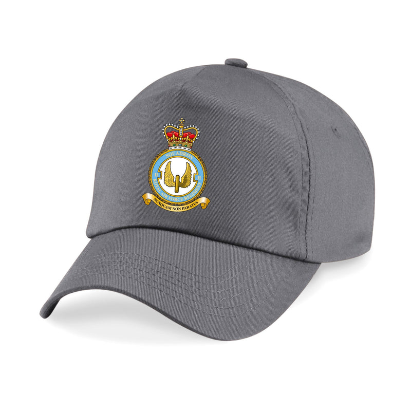 No. 2 Squadron RAF Printed Cap
