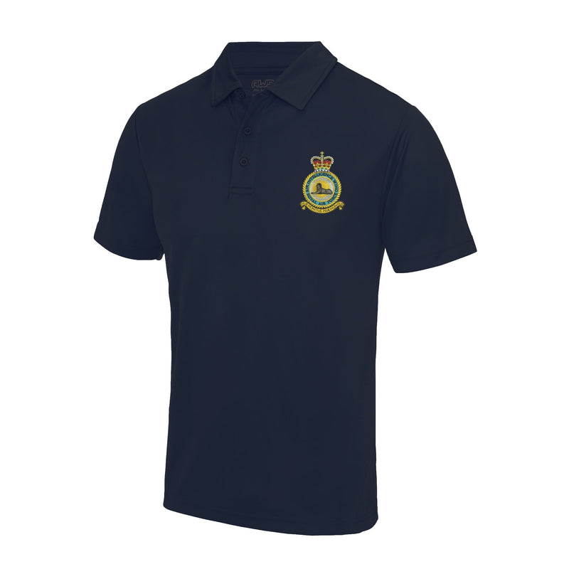 RAF Air Intelligence Wing Cool Polo