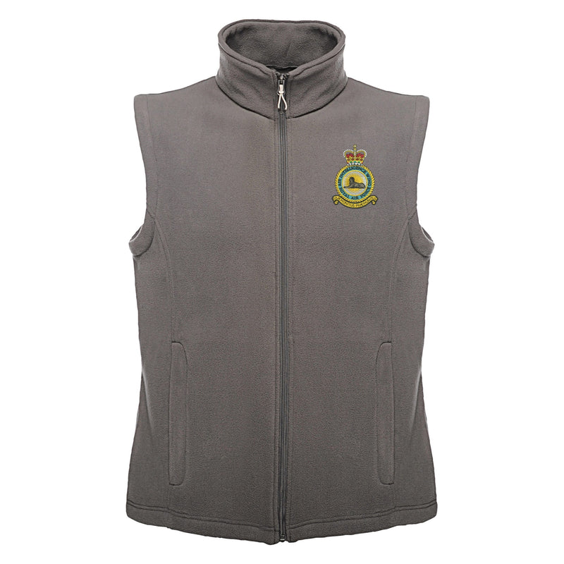 RAF Air Intelligence Wing Regatta Fleece Bodywarmer