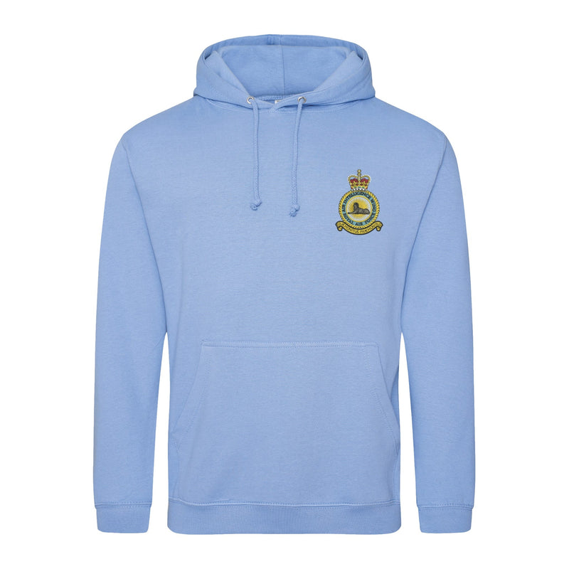 RAF Air Intelligence Wing Hoodie