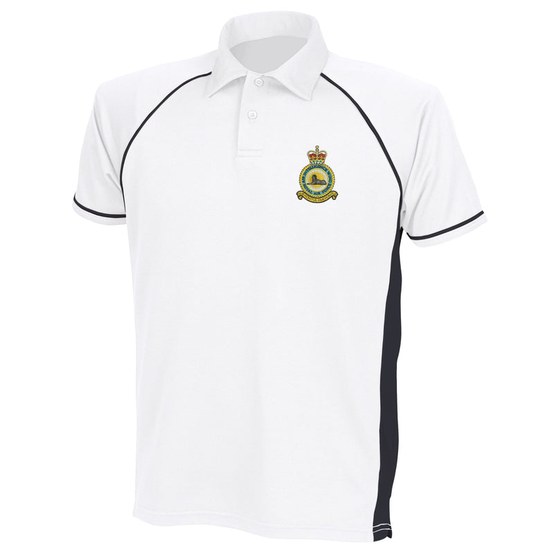 RAF Air Intelligence Wing Performance Polo