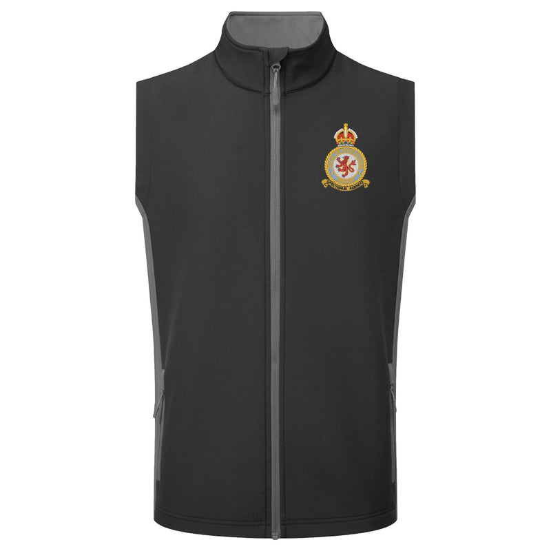 RAF Benson Gilet