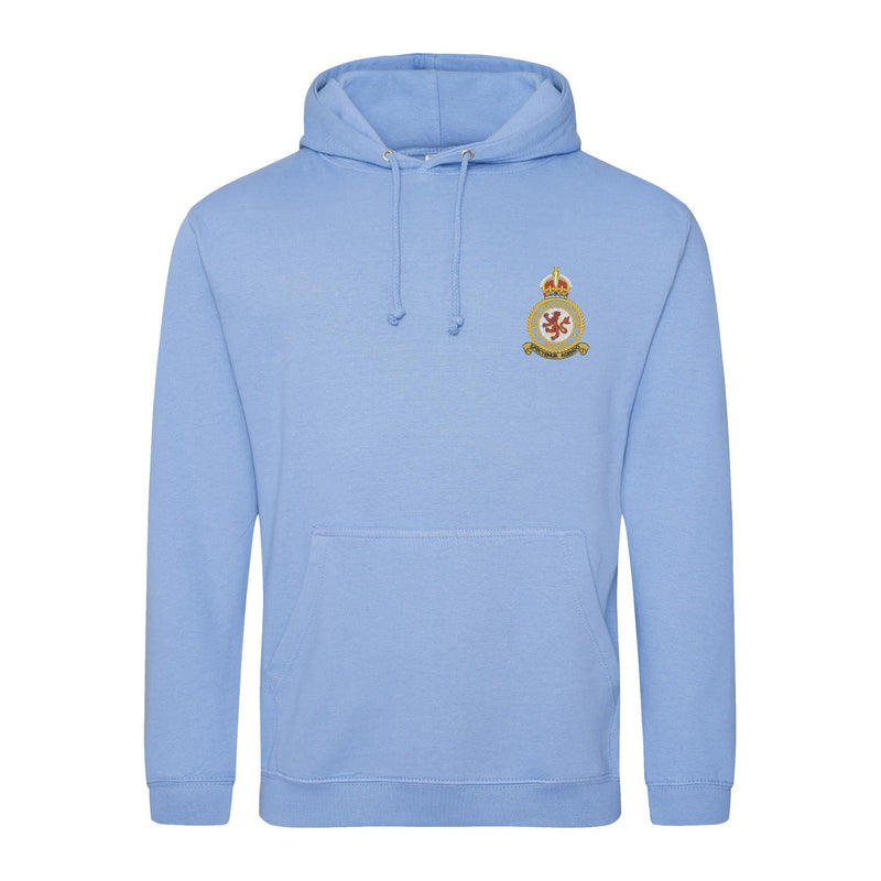RAF Benson Hoodie