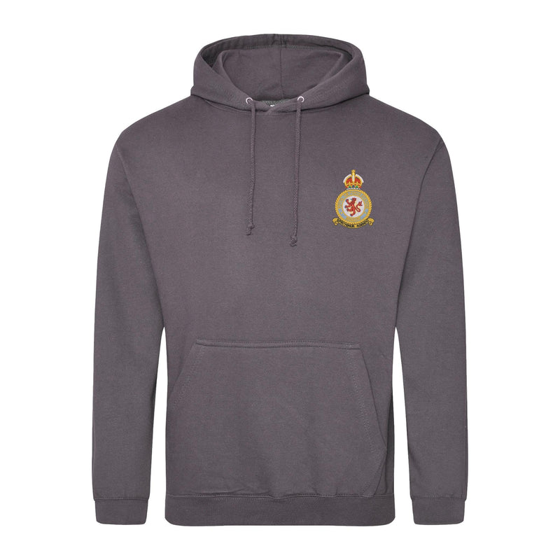 RAF Benson Hoodie