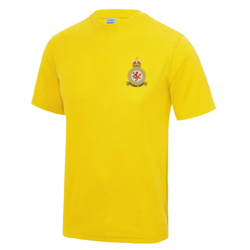 RAF Benson Polyester T-Shirt