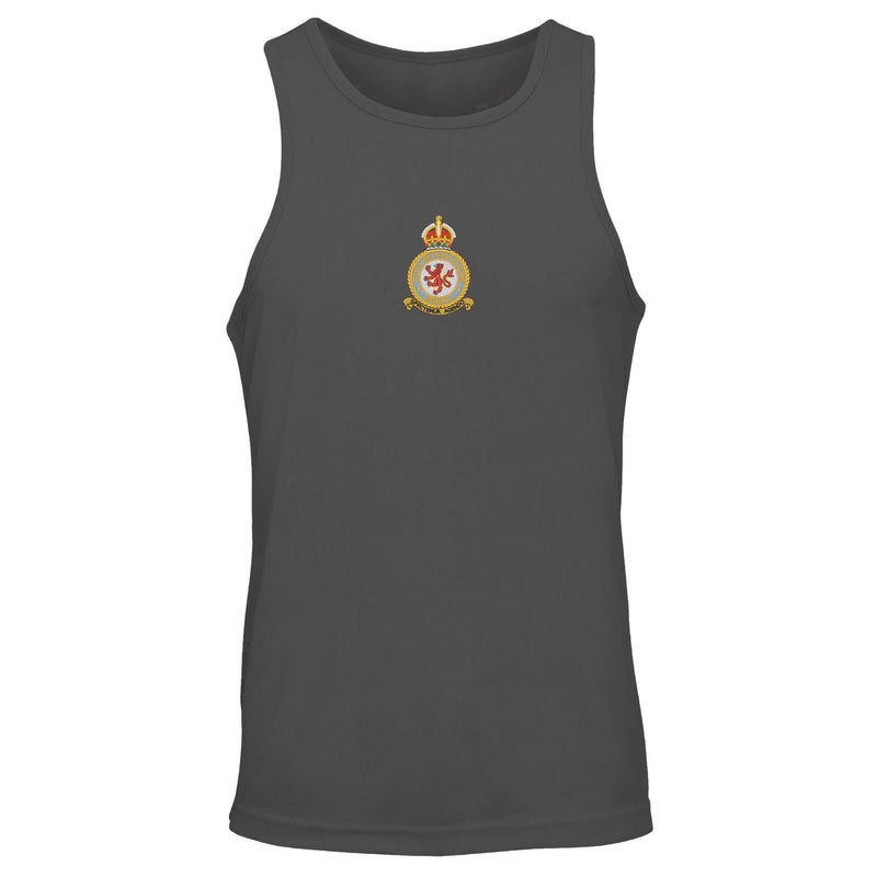 RAF Benson Vest