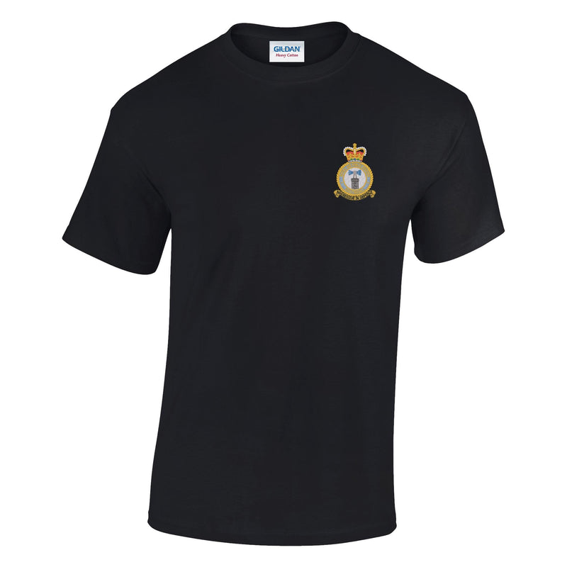 RAF Coltishall Cotton T-Shirt