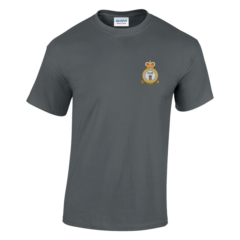 RAF Coltishall Cotton T-Shirt