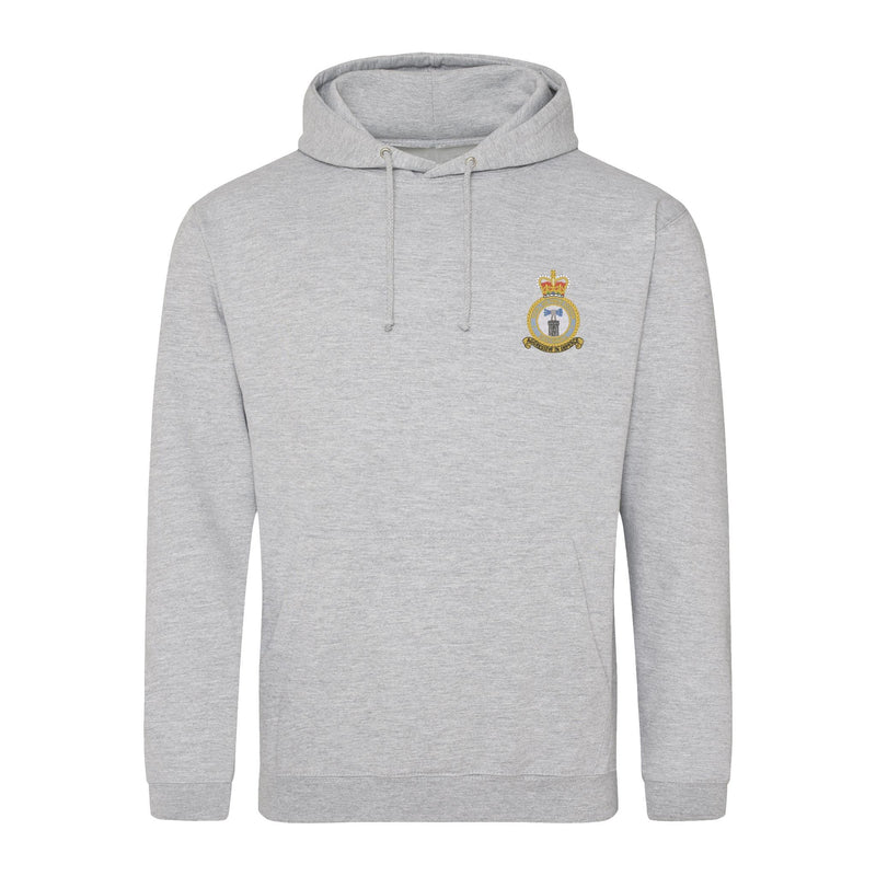 RAF Coltishall Hoodie