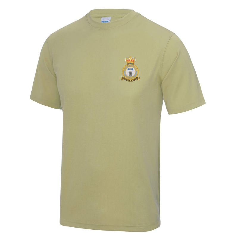 RAF Coltishall Polyester T-Shirt