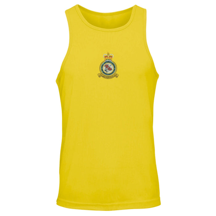 RAF and Defence Fire Service Association Vest