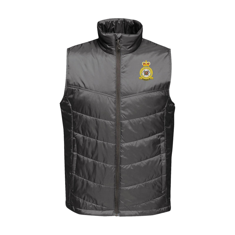 RAF Mountain Rescue Service Insulated Bodywarmer