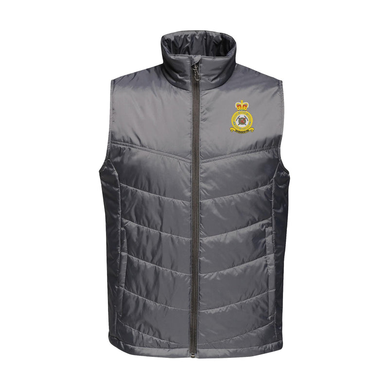 RAF Mountain Rescue Service Insulated Bodywarmer