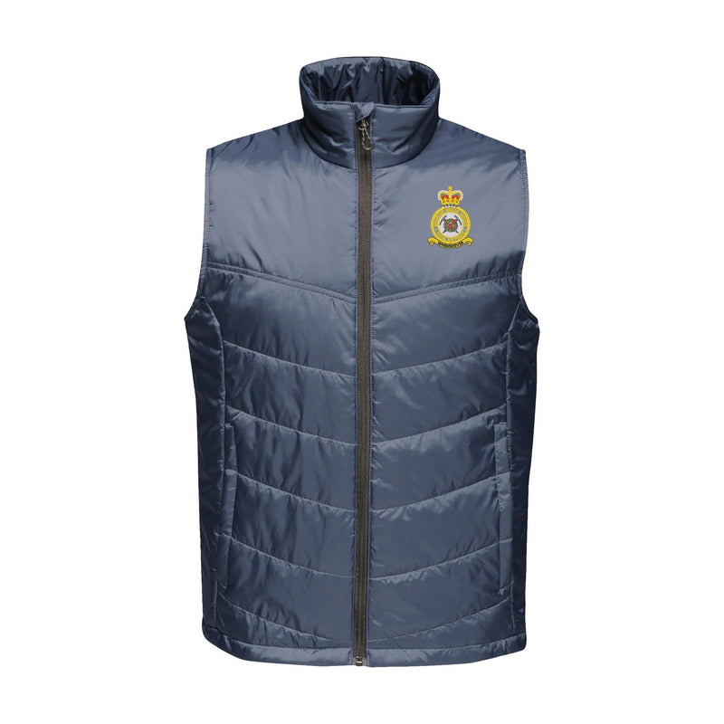RAF Mountain Rescue Service Insulated Bodywarmer