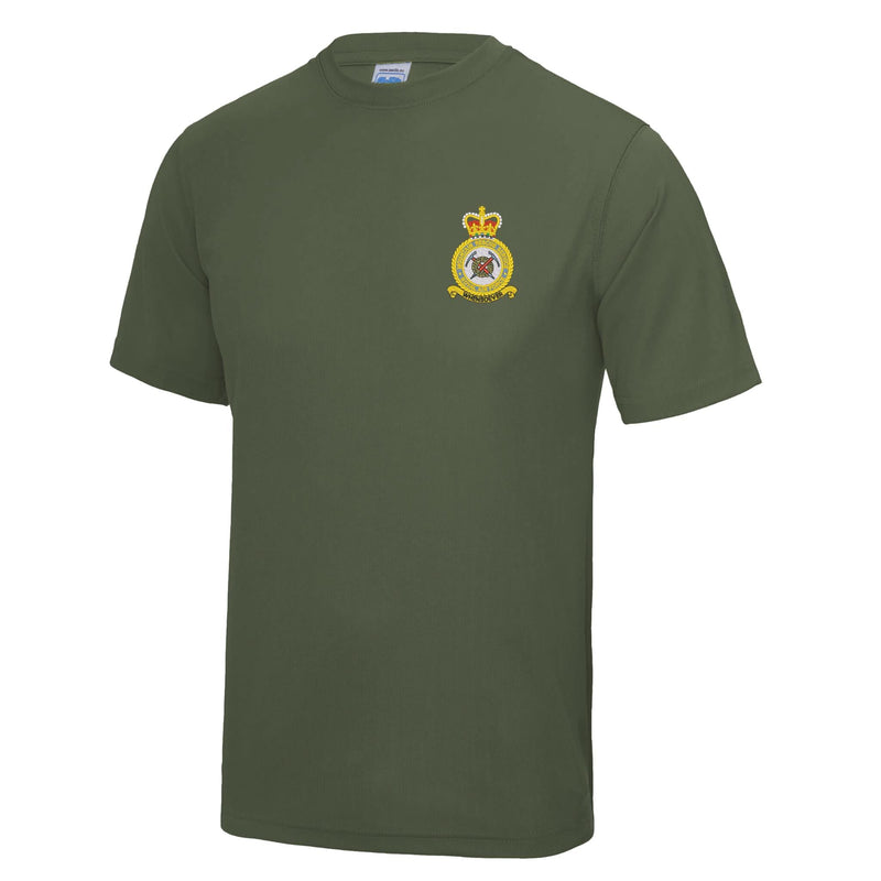 RAF Mountain Rescue Service Polyester T-Shirt