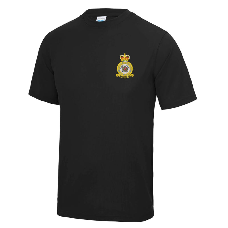 RAF Mountain Rescue Service Polyester T-Shirt