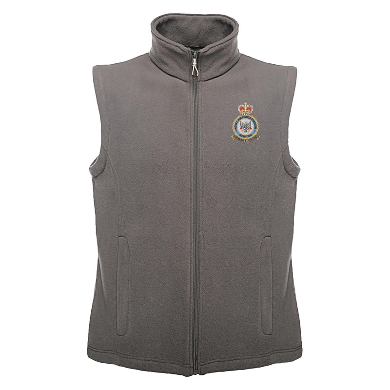RAF Newton Regatta Fleece Bodywarmer
