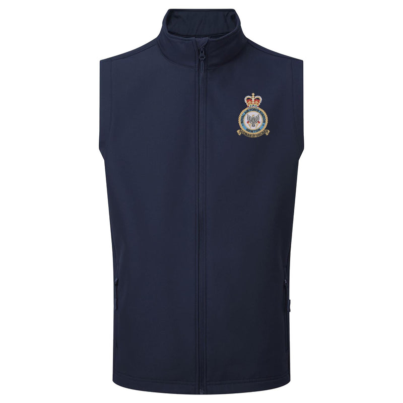 RAF Newton Gilet