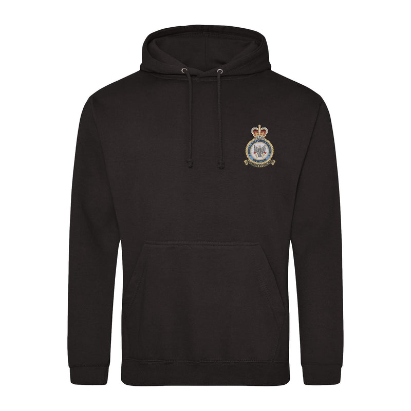 RAF Newton Hoodie
