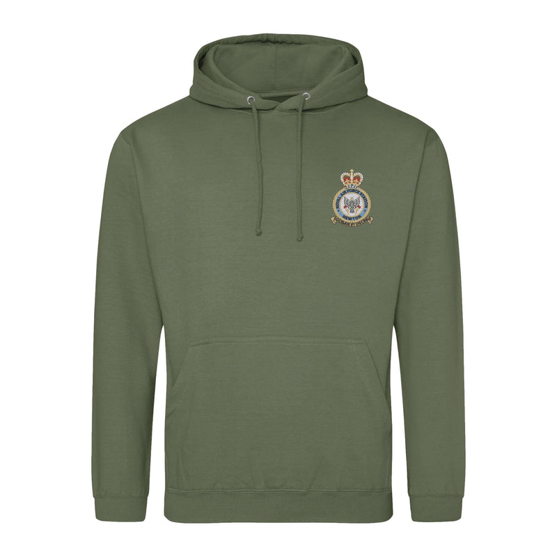 RAF Newton Hoodie