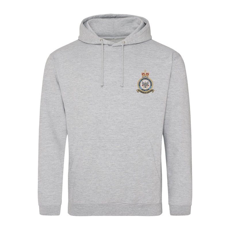 RAF Newton Hoodie