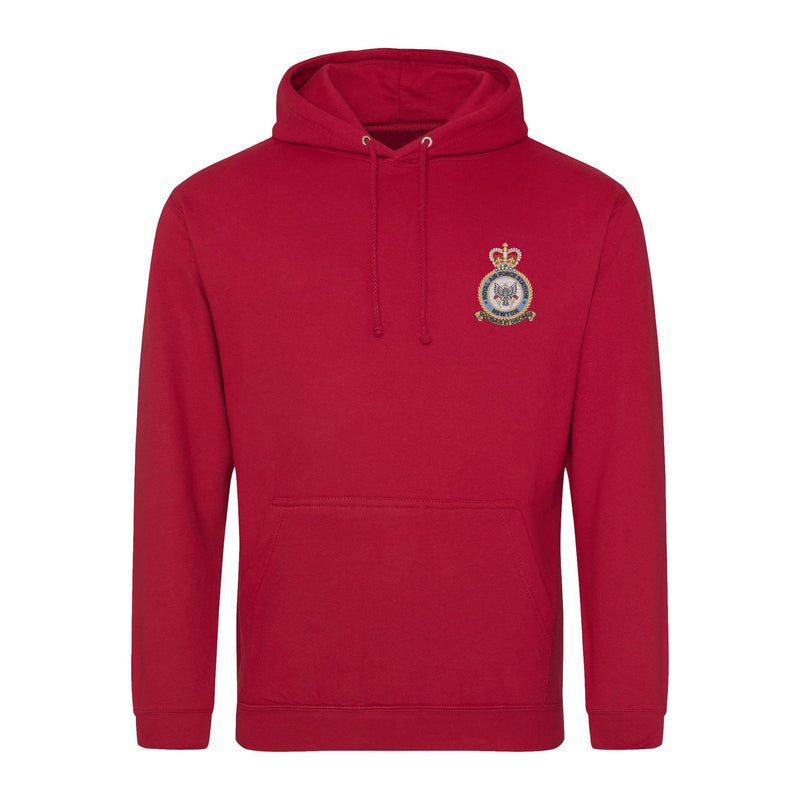 RAF Newton Hoodie