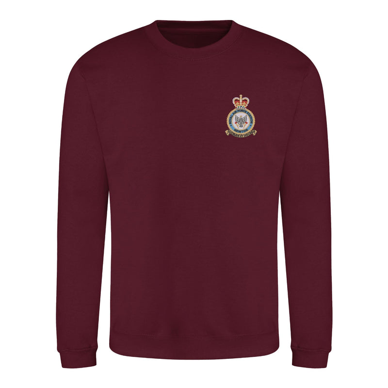 RAF Newton Sweatshirt