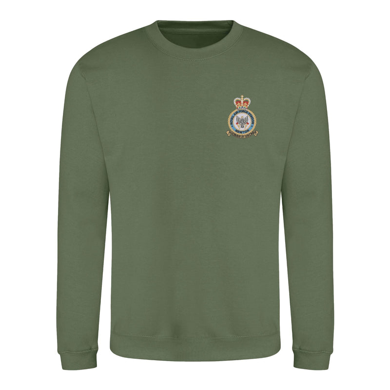 RAF Newton Sweatshirt